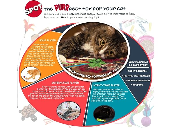 SPOT A-Door-Able Bouncing Mouse Rattle Toy