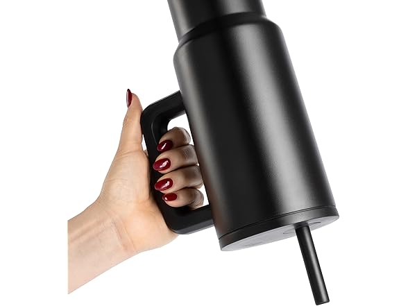 Simple Modern 40 oz Tumbler with Handle and Straw Lid Zinnia