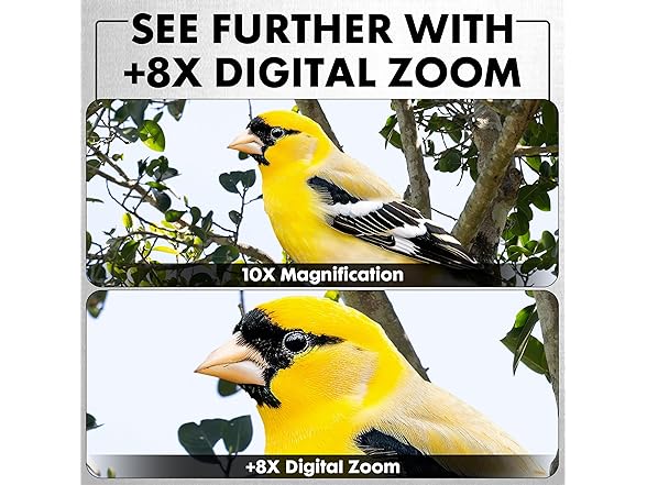 Minolta 10x25 Digital Night Vision Monocular w/Built-in 4K HD Video Camera (Green)