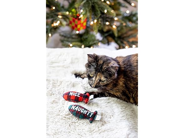 Set of 2 Pearhead Naughty Or Nice Christmas Toy