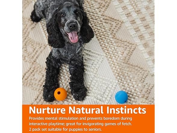 Amazon Basics Squeaker Toy Dog Balls, 2PK