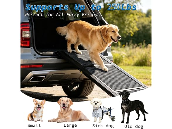 Ashfield & Harkness: Felt Dog Ramp - 71 x20, Black