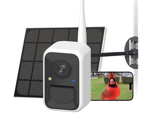 NETVUE Birdfy Bird Camera for Feeder