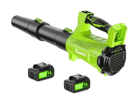 Sunchers 20V Electric Leaf Blower