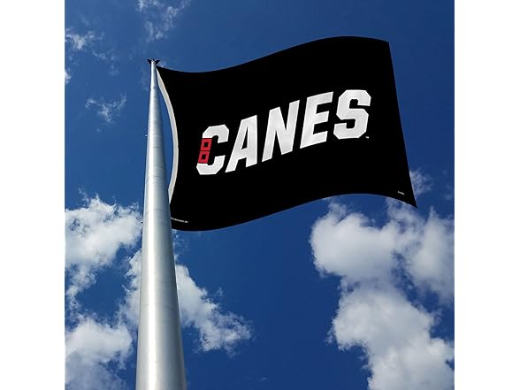 Hurricanes Banner Flag 3x5