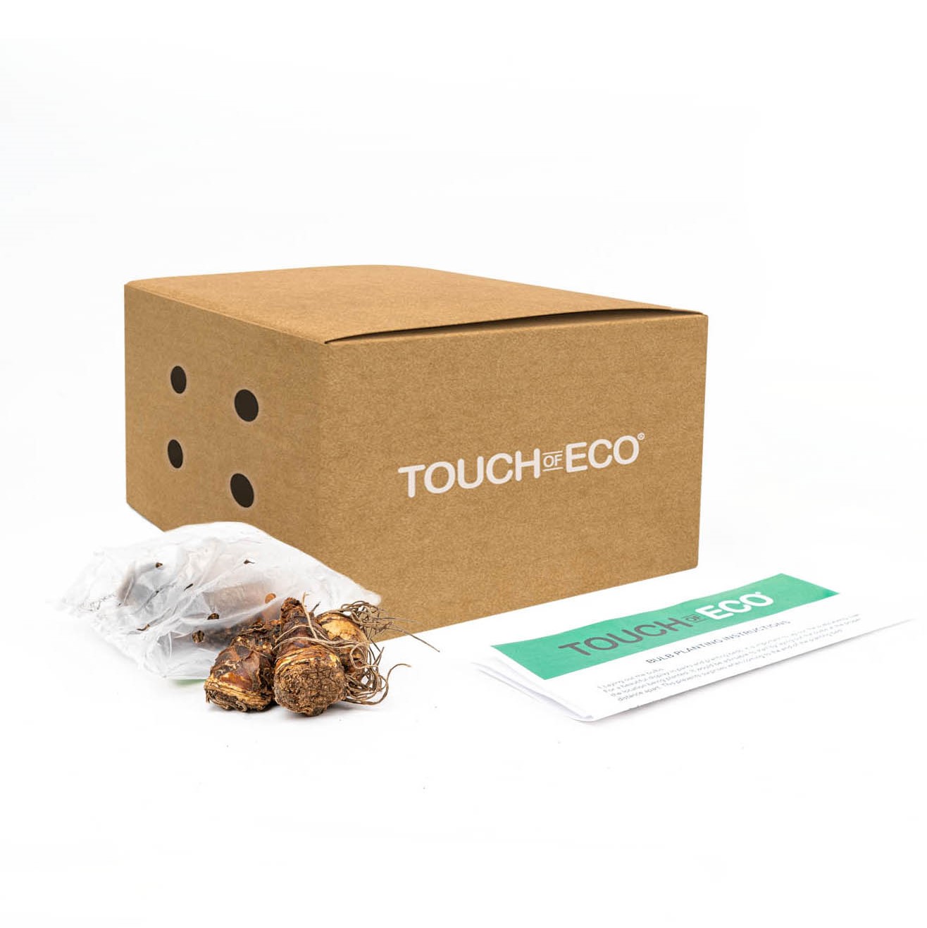 Touch Of ECO Mixed Gladiolus Flowers - 40 or 120 Bulbs - Gallery 12