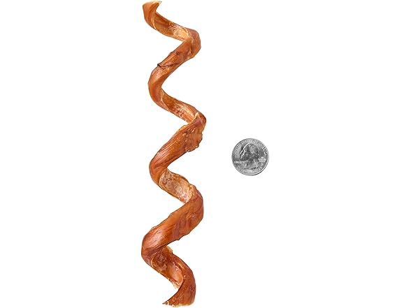 Amazon Brand Wonder Bound Bully Curls