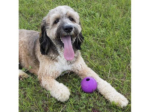 Chew King Dog Fetch Balls, 2 Pack