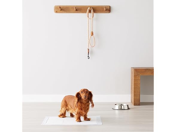 Amazon Basics Leak-Proof Training Pee Pads 100Ct