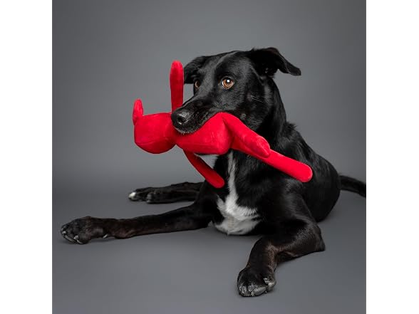 Noah & Paw Luxury dog toy, Stuffed Pig