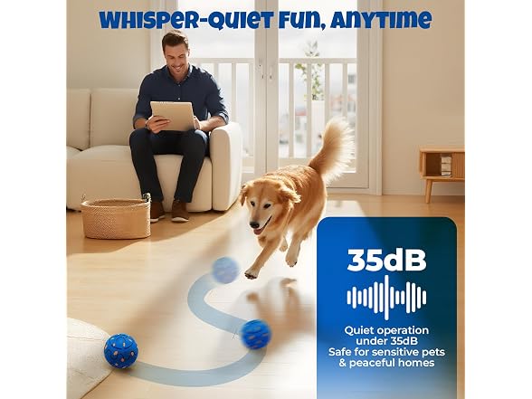 Fsitego Dog Balls: Interactive Dog Ball Auto Rolling