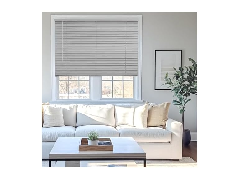 CHICOLOGY Mini Blinds for Indoor Windows