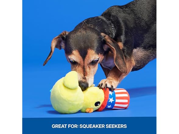 BarkBox Uncle Duck Dog Toy