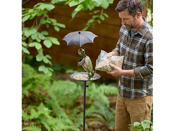Red Carpet Rainy Day Bird Feeder Turtle