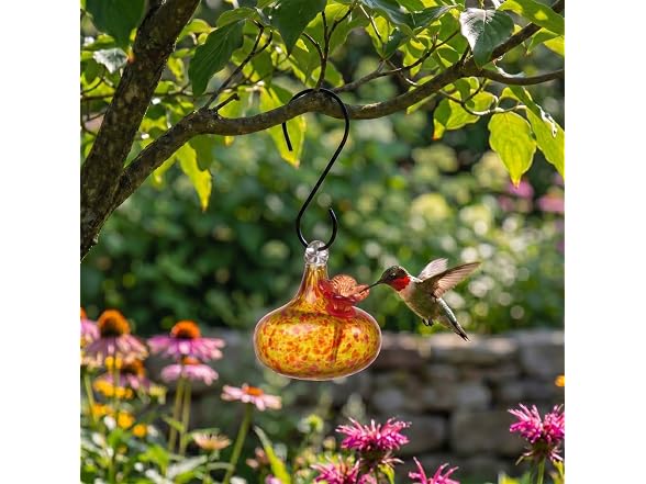 Red Carpet Hummingbird Feeder Teardrop