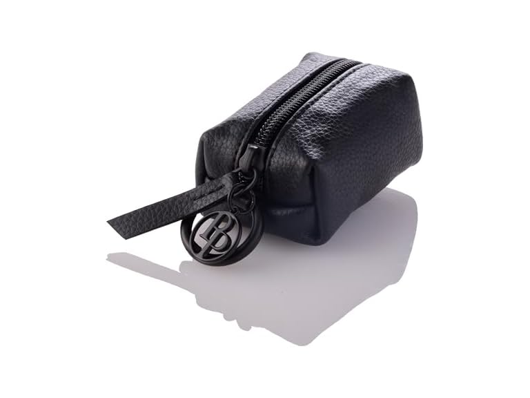 Rein - The Recycled Vegan Leather Pouch w Bags