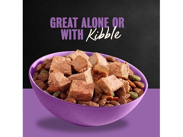 24ct Cesar Classic Loaf in Sauce Adult Wet Dog Food