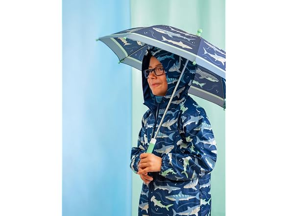 Toddler and Little Kid Umbrella Sharks