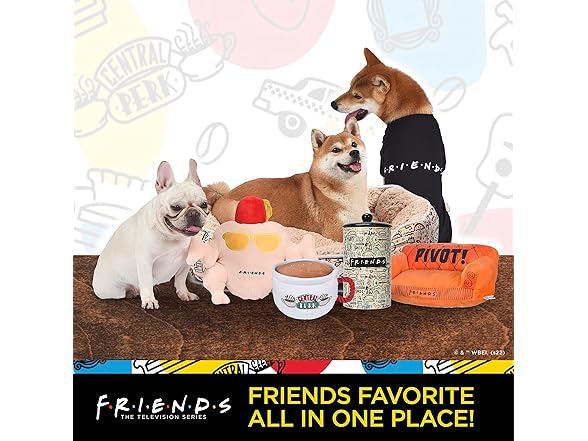 Friends the TV Show WB Friends