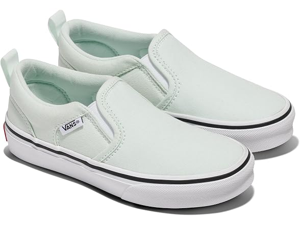 Vans Asher Slip-On Shoe