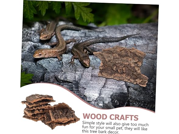 10pcs Lizards Decor Small Hide Fish Reptiles