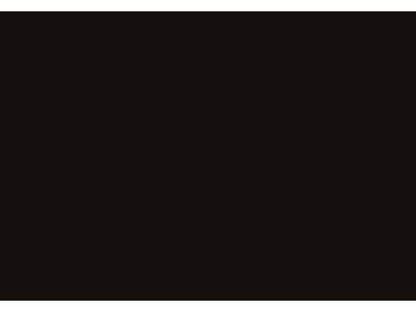 Cricut Everyday Iron On 3-Roll Floral Mix