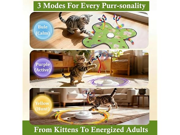 VEHICAR 3-in-1 Interactive Cat Toy