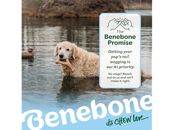 Benebone Wishbone Durable Dog Chew Toy for Ag