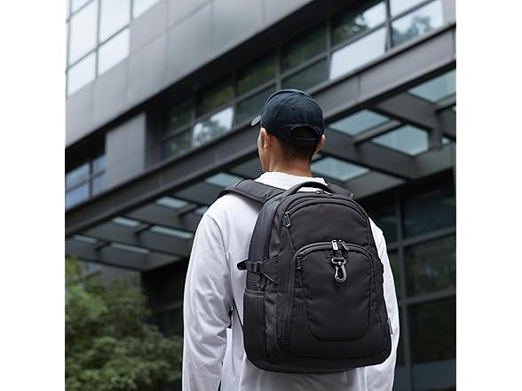 Amazon Basics Travel Laptop Backpack