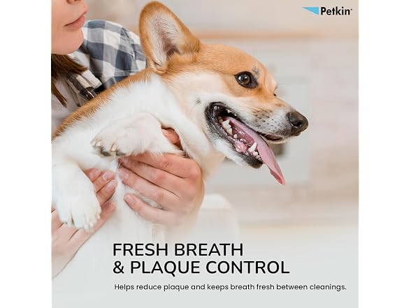 PETKIN Toothwipes Dogs/Ca Size 40ct Toothwip
