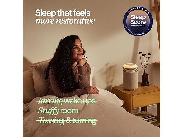 BLUEAIR Purifier & Sunrise Alarm Clock