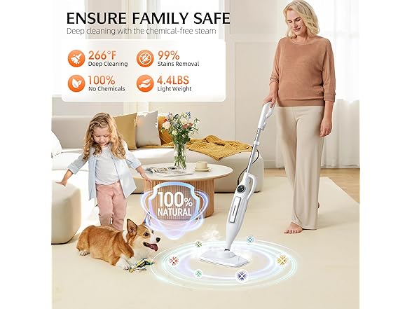 Powerful Handheld Steam Mop