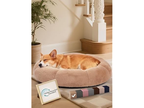 Camel 31"L x 31"W x 9"Th