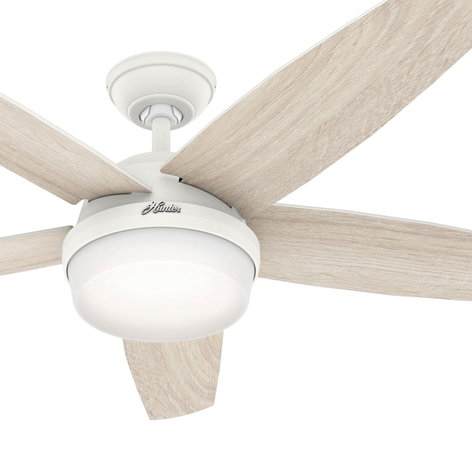 Hunter Fan 52" w Light Kit and Remote White - Gallery 11