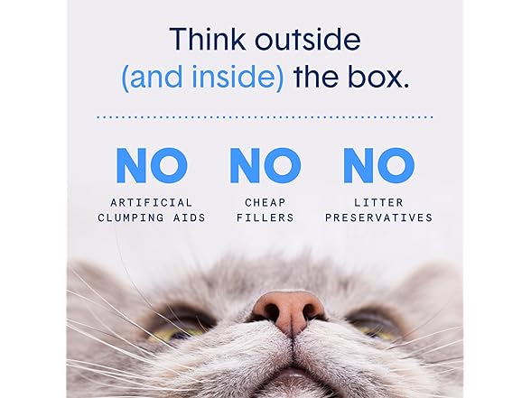 Boxie® 30 Day Odor Control Cat Litter