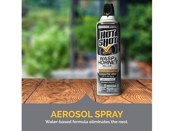 Hot Shot Wasp & Hornet Killer Spray
