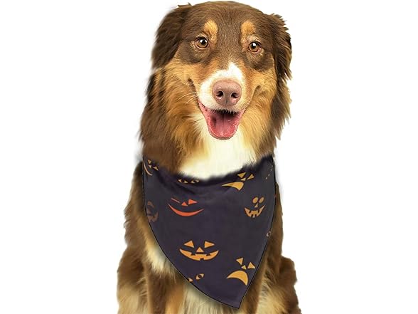 vercosee Halloween Dog Bandana