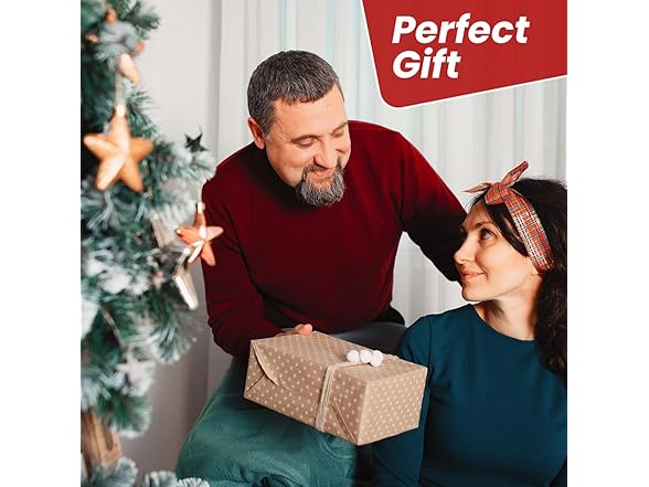 Top Treasures 6 ft Christmas Inflatable Santa Claus