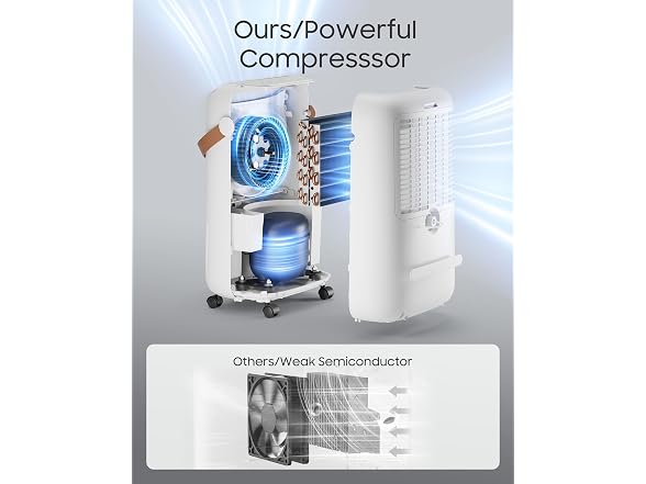 ASAHWo Dehumidifier
