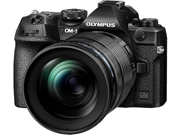OM SYSTEM OM System M. Zuiko Digital ED 12-100mm