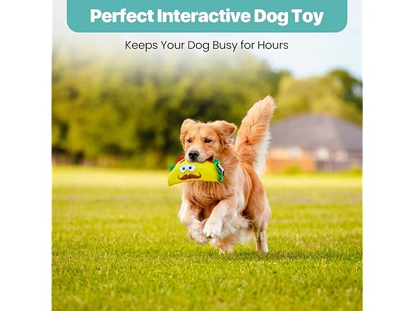 SPOT Fun Food Taco Plush Dog Toy with Squeaker
