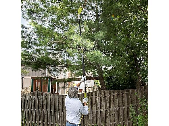 Sun Joe SWJ803E 10 inch 8.0 Amp Electric