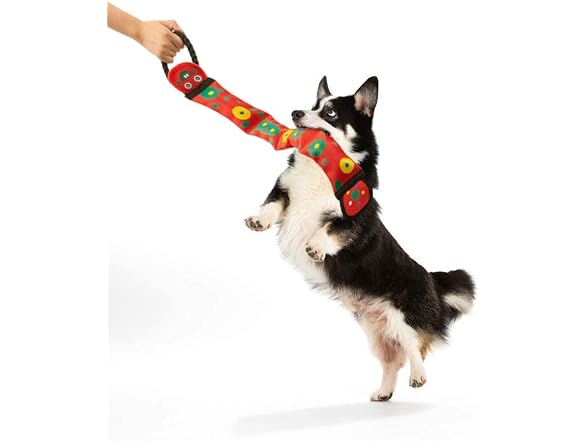 Fire Hose Interactive Squeaking Water Dog Toy