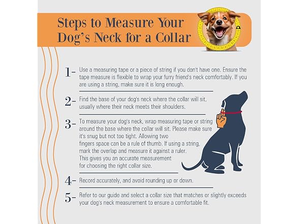 Filbert Leather Dog Collar, Genuine Leather