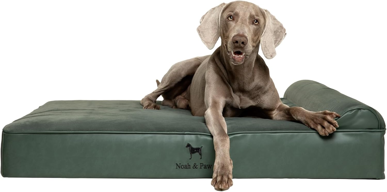 NOAH & PAW Dog Beds- Size and Style VARIES - Gallery 21
