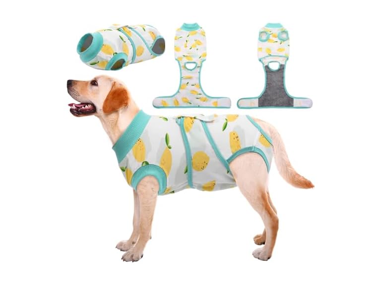 Recovery Suit For Pets After Surgery - Gallery 9