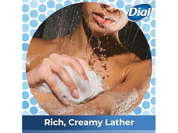 Dial Himalayan Salt Body Wash, 16oz