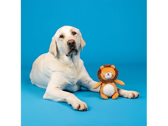 Fringe Studio Plush Dog Toy, CAN’T BE Tamed