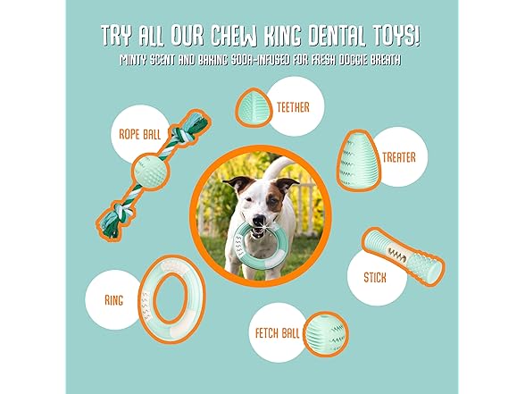 Chew King Treater Dental Dog Toy