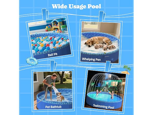 Pawtners Foldable Kiddie Pool